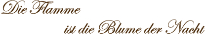 Die Flamme                   ist die Blume der Nacht